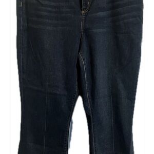 Ann Taylor Dark Blue Boot Cut Jeans NWT